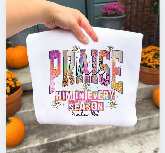 Praise him Gildan white tshirt